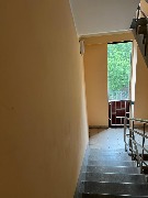 246.jpg
