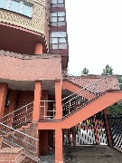 239.jpg
